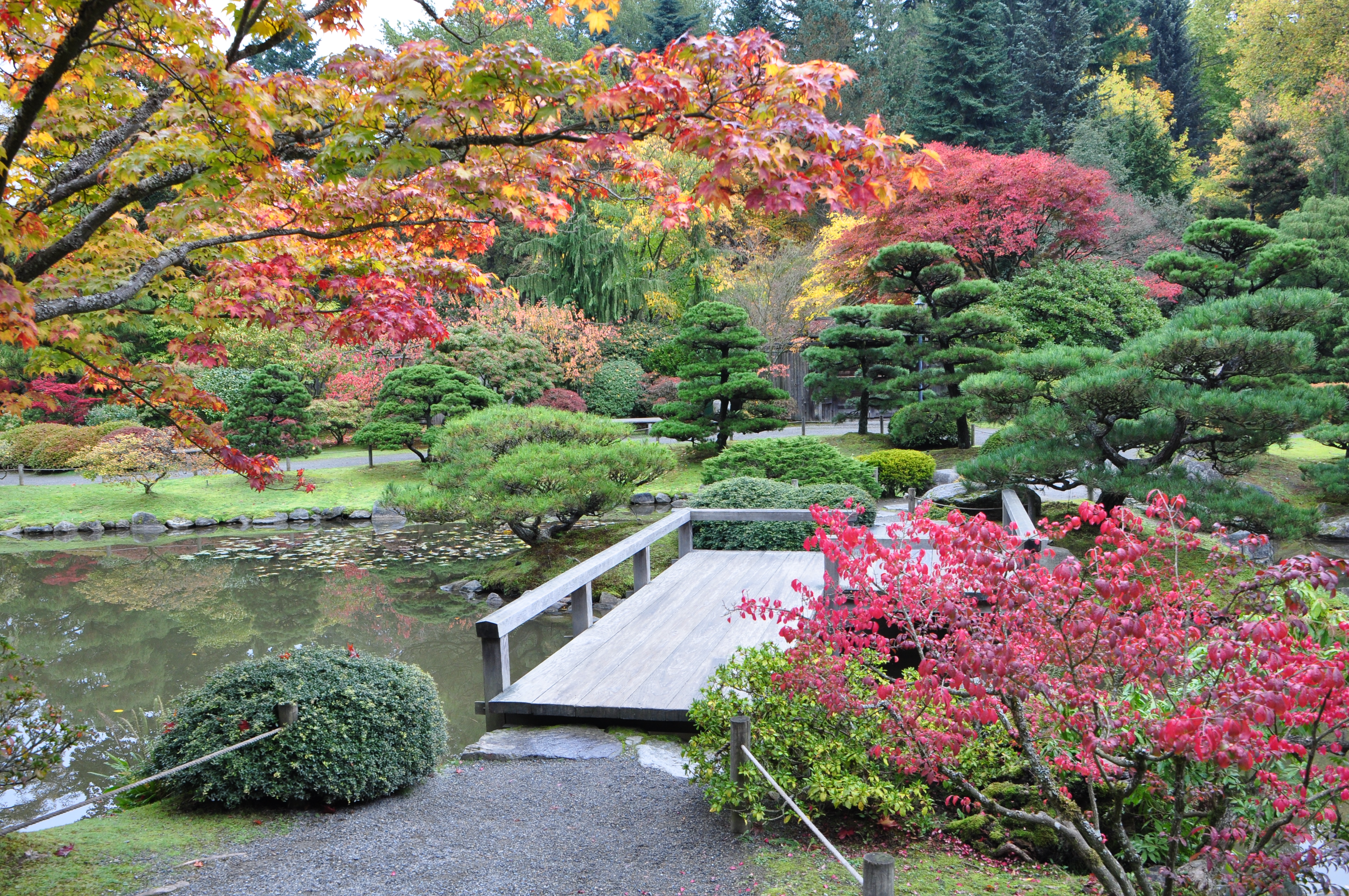 Seattle Japanese garden