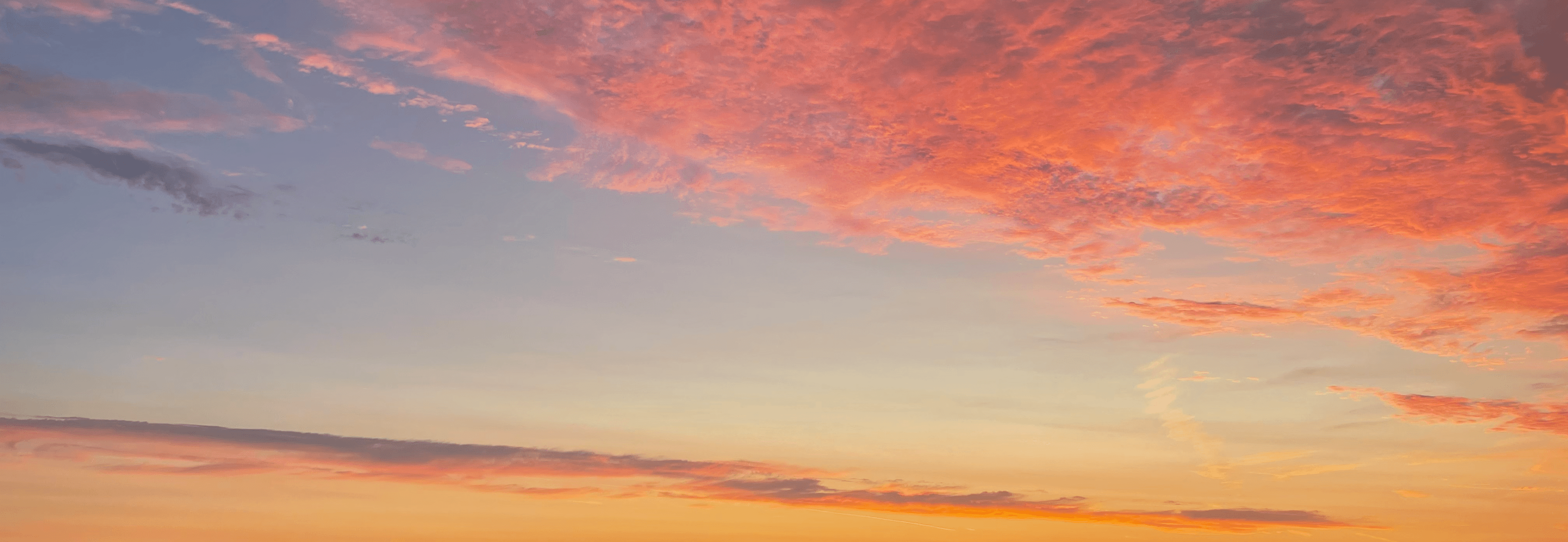 Sunset pink orange